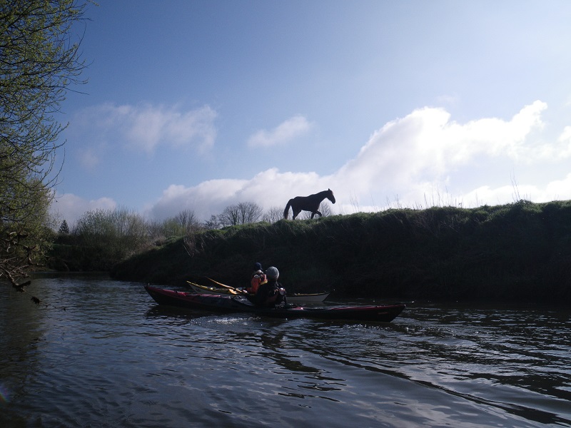 Sud Manche, pays du cheval.jpg