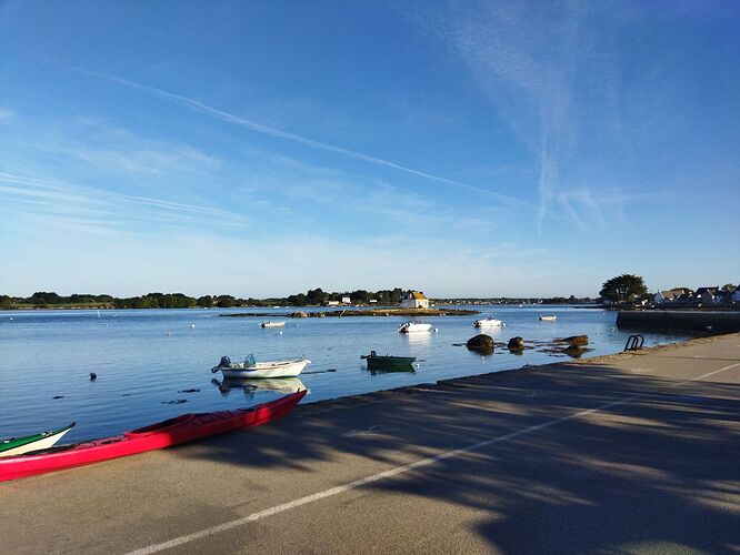 La rivière  (1).jpg