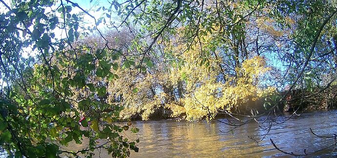 Couleur d'automne !!! (1).jpg