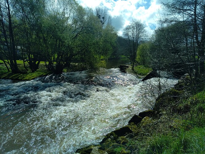Moulin Hébert.jpg