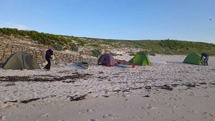IMG-20240605-WA0008.jpg