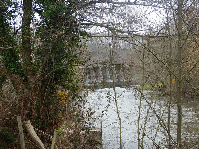 DSCN1968.jpg