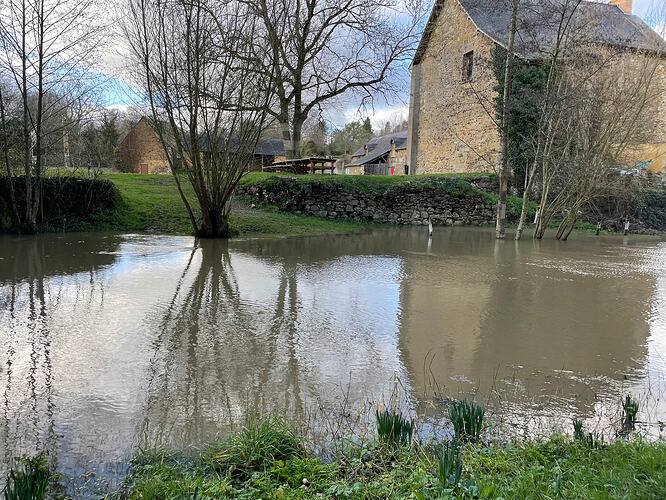 79078023130__A99D323D-38E4-4861-859E-AAA9AE6EDB15.fullsizerender