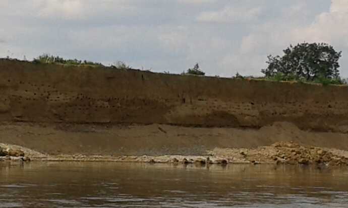 IMG-20250509-WA0014