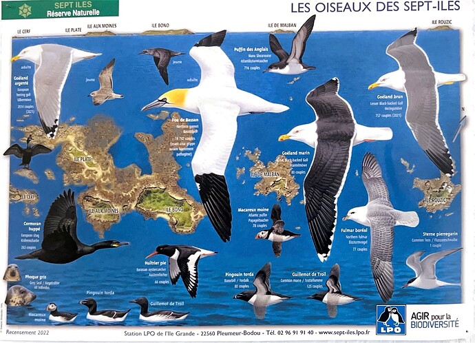 LES OISEAUX DES SEPT-ILES