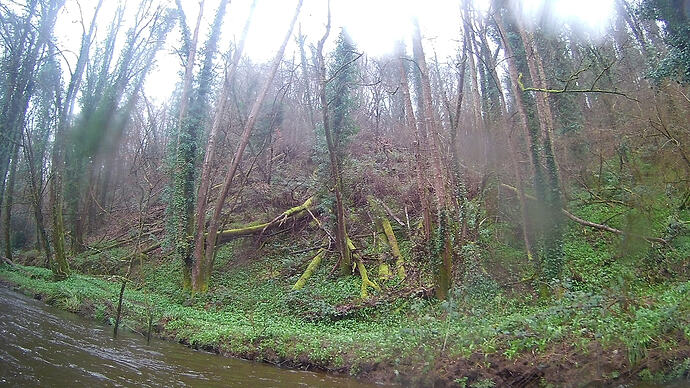 Sortie sur le Gouët - St Brieuc ce samedi 7 mars 2026 (18)